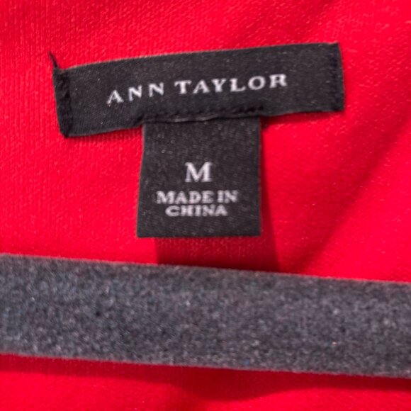 Ann Taylor Nautical Chain Link Dress, Red with Blue chains, Size M - Picture 5 of 7